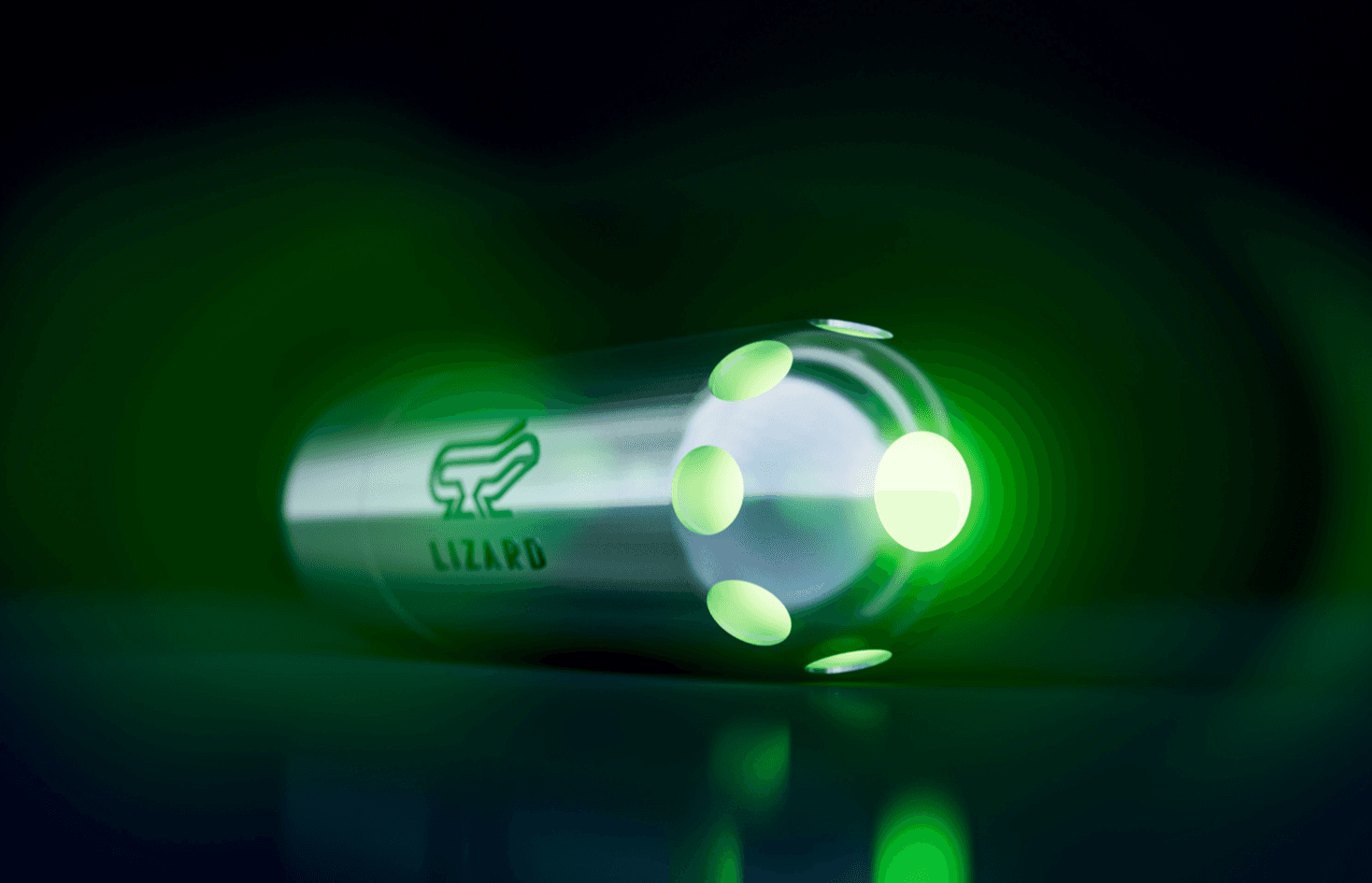 LizardPro Smart Case